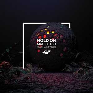 Hold On - Single