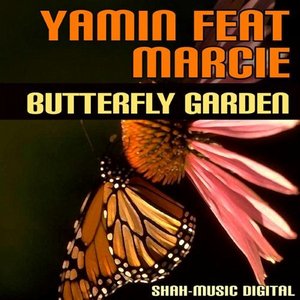 Butterfly Garden