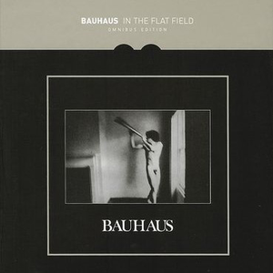 Bauhaus - In The Flat Field: Singles and Out-Takes - Zortam Music