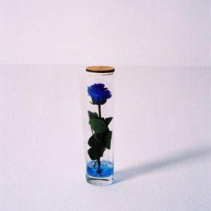 WestRose - Single