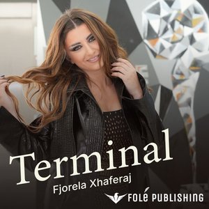 Terminal