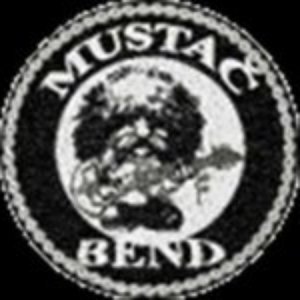 Mustač Bend 的头像