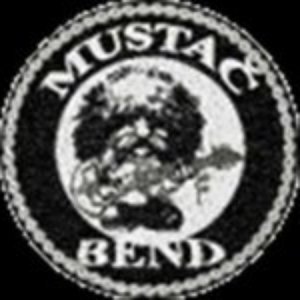 Image for 'Mustač Bend'