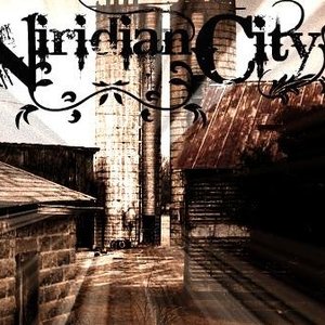 The Viridian City 的头像