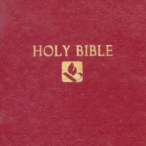 Bible 的头像