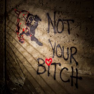 (Not Your) Bitch