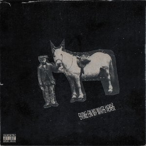 Dyingonmywhitehorse