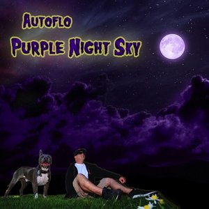 Purple Night Sky