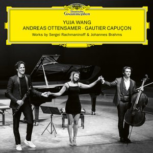 Bild för 'Brahms: Clarinet Trio in A Minor, Op. 114: I. Allegro'