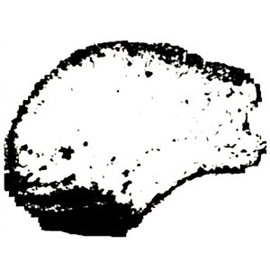 Iustus Ira 的头像