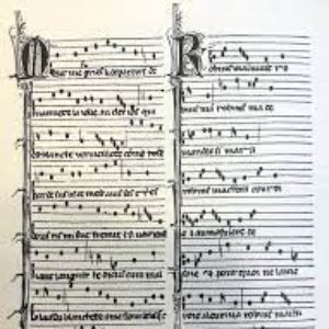 Codex Bamberg 的头像