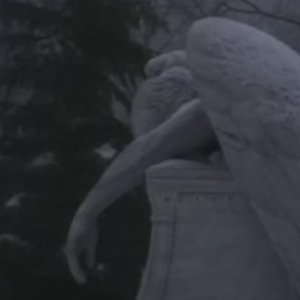 孤立、永遠に 的头像