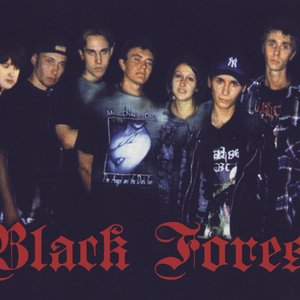 Black Forest 的头像
