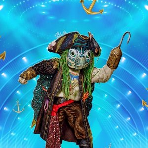 The Masked Singer: Schildpad 的头像