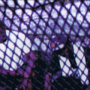 Godd Boddies 的头像