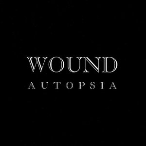 Wound