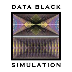 Simulation