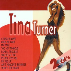 Lo Mejor De Tina Turner (The Best of Tina Turner)