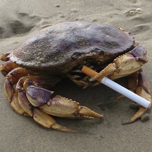 Full Crab