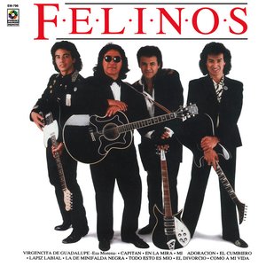 felinos
