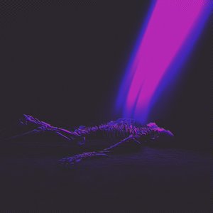 Transcending the Sky - Single