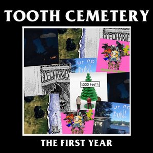 the first year