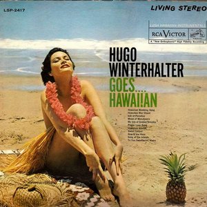 Hugo Winterhalter Goes....Hawaiian