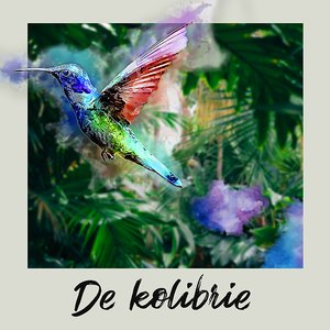 De Kolibrie