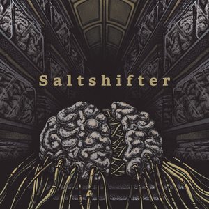 Saltshifter