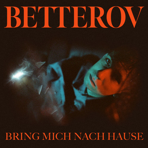 Artwork for Bring mich nach Hause