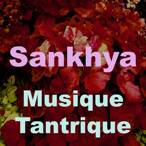 Musique tantrique (Vol. 3)