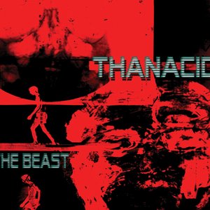 The Beast