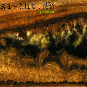 Enthusiast cover