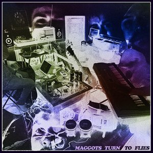 Maggots Turn To Flies