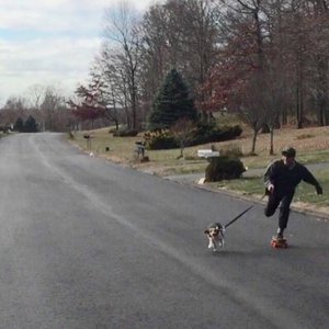 Skating 的头像