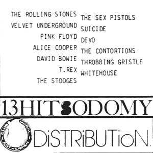 “13 HitSodomy”的封面