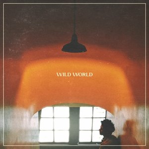 Wild World - Single