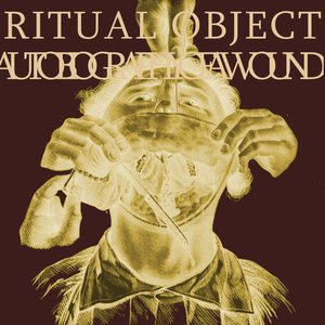 Autobiography of a Wound