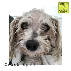 Crack Open [Explicit]