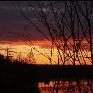 I Could Never Be Loved - Single