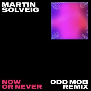 Now Or Never (Odd Mob Remix)