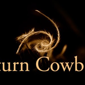 Saturn Cowboys のアバター