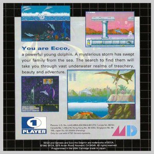 Ecco Adventures!