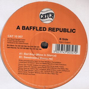 A Baffled Republic 的头像