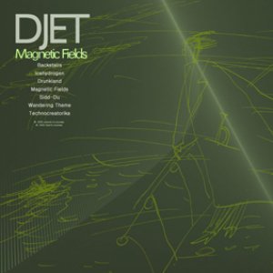 Magnetic fields