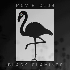 Black Flamingo