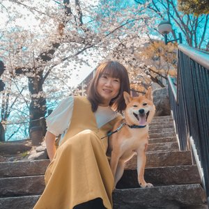 Suzuki Ai 的头像