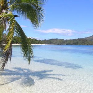 Avatar for FIJI Music