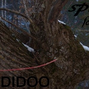 Didoo 的头像
