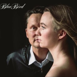 BlackieBlueBird 的头像